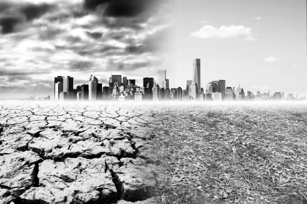 10.4% of Ukraine's GDP: Climate crisis